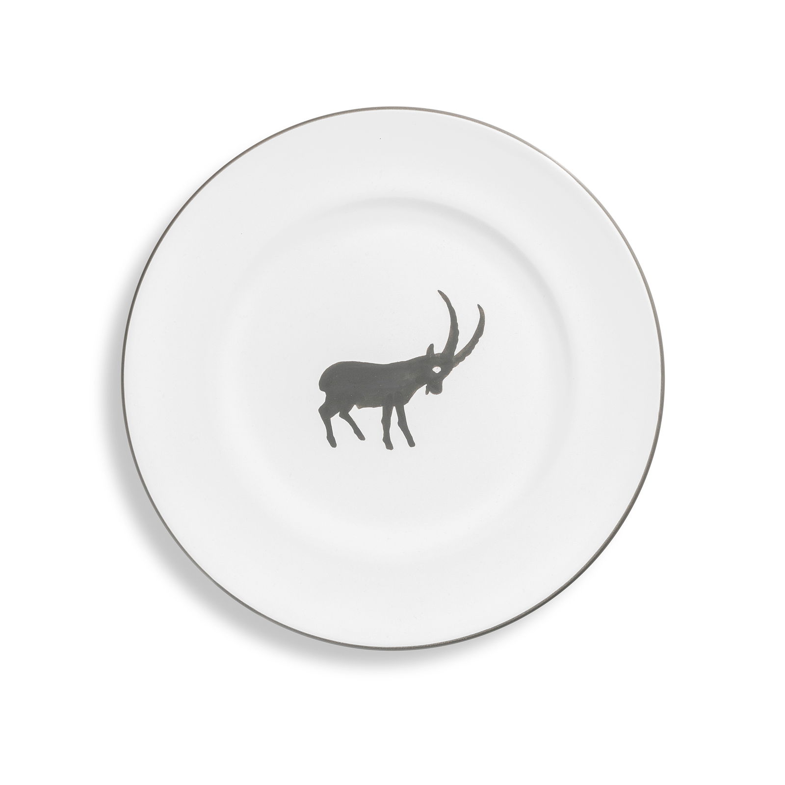Grauer Steinbock