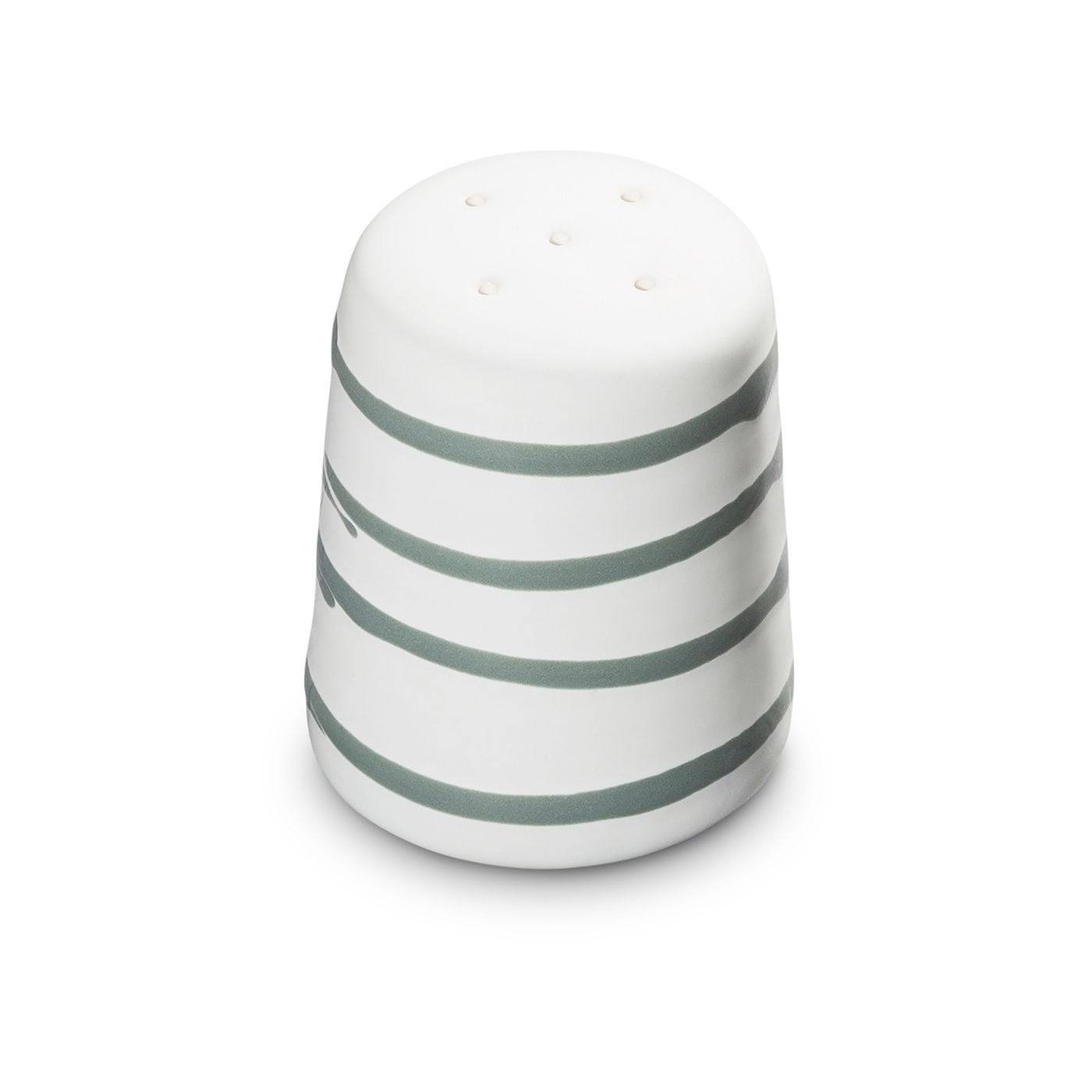 Salt Shaker Salt Shaker